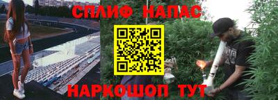 хмурый Моздок