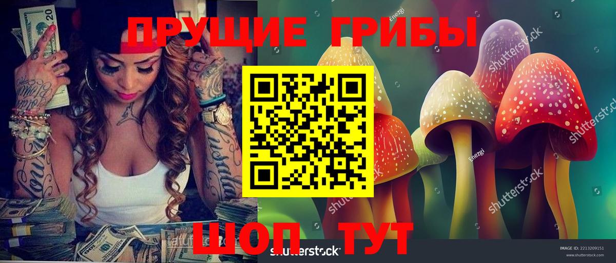 Ростов Великий  Галлюциногенные грибы ЛСД  Вход с VPN 